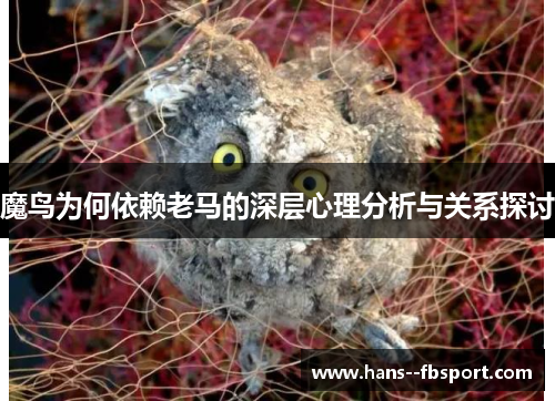 魔鸟为何依赖老马的深层心理分析与关系探讨 魔鸟为何依赖老马的深层心理分析与关系探讨